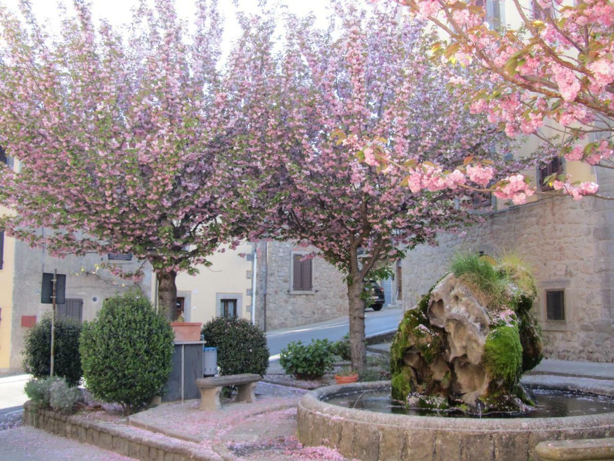 Apartmán Casa Giuly Vivo dʼOrcia Exteriér fotografie